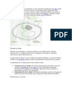 Leveduras unicelulares