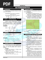 determinantes.pdf