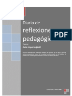 Diario de Reflexiones Pedagógicas 2009