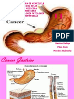 Cáncer Gástrico divar 2