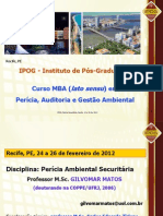 Pericia Ambiental Securitaria1