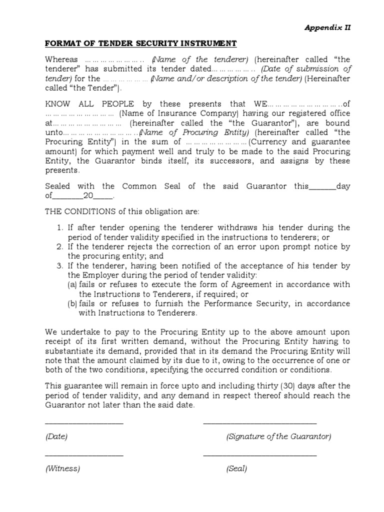 Format For Tender Security Instrument PDF