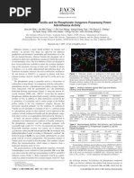 Synthesis of Tamiflu