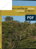 Frutos y Semillas Especies Tropicales