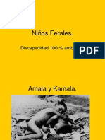 Niños Ferales