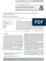 Surface Mapping For Visualization of Wall Stresses During Inhalation in A Human Nasal Cavity