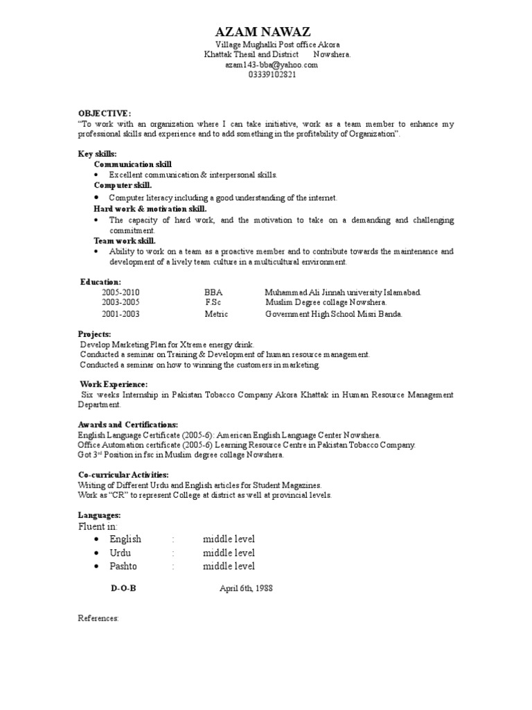 Professional Skills and Experience Summary | PDF