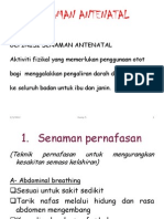 Senaman Antenatal