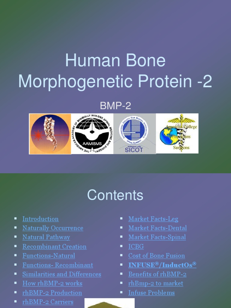 Final Human Bone Morphogenetic Protein | PDF | Transforming Growth ...