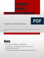 Understanding MIS