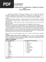 Raport-perioada de Acomodare