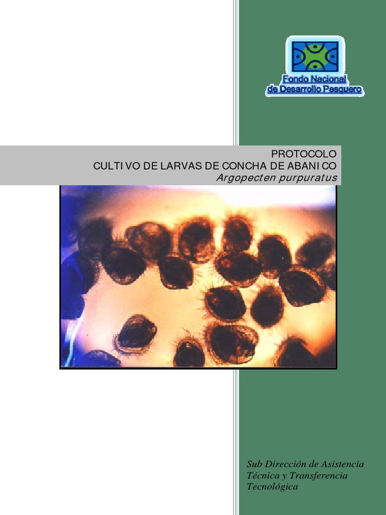 Protocolo de Cultivo de Larvas | PDF | Transferencia tecnológica | Agua
