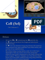 Cell (Sel) 2