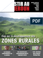 Investir Au Cameroun 14