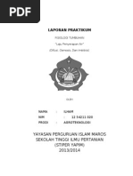 Download Laporan Praktikum laju penyerapan air by Ilham Inzide Corp SN175294170 doc pdf