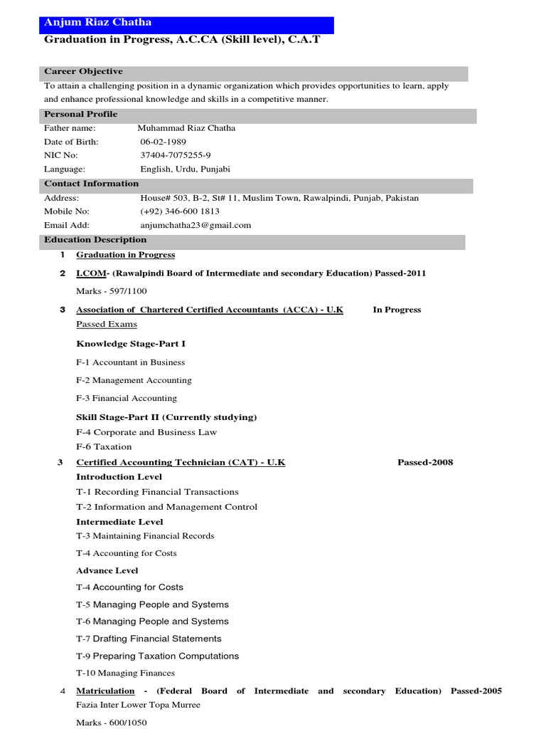 Aspiring Accountant's Profile | PDF