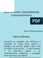 Meio Ambiente Sustentabilidade Desenvolvimento