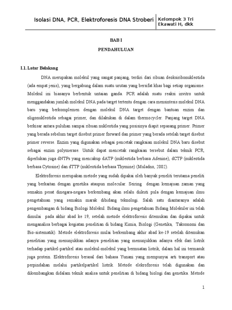 Isolasi Dna Pcr Elektro Stroberi Its