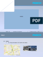 2013-06 Presentación Pasch100-PALI