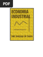 Economia Industrial