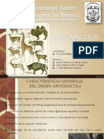 Artiodactilos-Mastozoologia A16