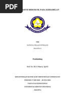 Download Final Pengaruh Merokok Pada Kehamilan by Eleazar Christopher L Tobing SN175414121 doc pdf