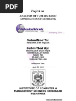 Download TQM Presentation by amir SN17542381 doc pdf