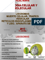 Lisosomas, Muerte y Tráfico Vesicular