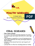 Poultry Diseases