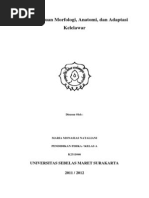 Download Essai Tinjauan Morfologi Kelelawar by Suci Novira Aditiani SN175531770 doc pdf