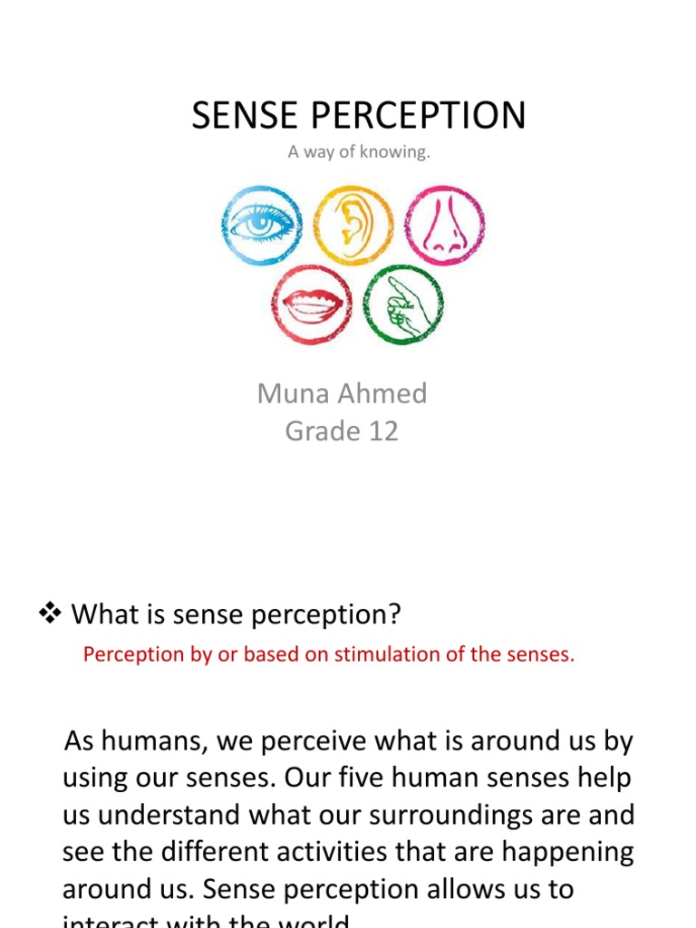 Understanding Sense Perception | PDF | Senses | Perception