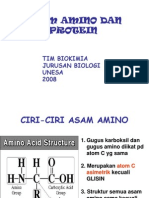 Asam Amino Dan Protein