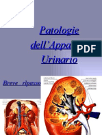 Patologie Dell Apparato Urinario2007