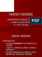 2o. Hueso Hioides