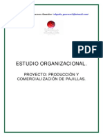 organizacional-pajillas