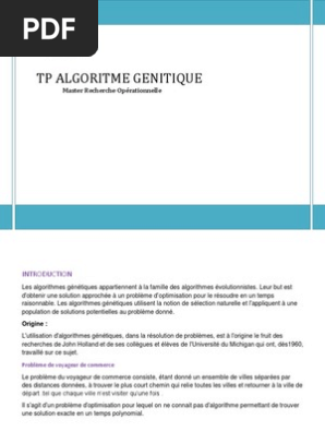 Algorithme Génétique Rapportcode En Langage C Problème Du - 