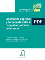 Libertad de Expresión y Derechos de Autor (Electoral)