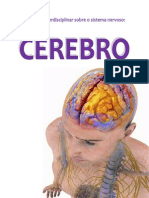 Cerebro Soraia Laibacas Adriana