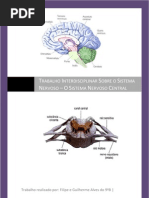Sistema Nervoso Central Filipe Guilherme