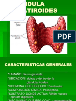 GLÁNDULA PARATIROIDES y Suprarrenales