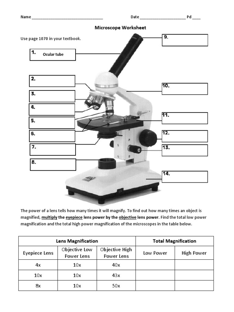 Microscope Worksheet  PDF In Microscope Parts And Use Worksheet