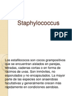 Staphylococcus