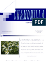 CHAMOMILLA Tropismos Pereyra