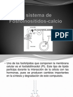 El Sistema de Fosfoinosítidos-Calcio