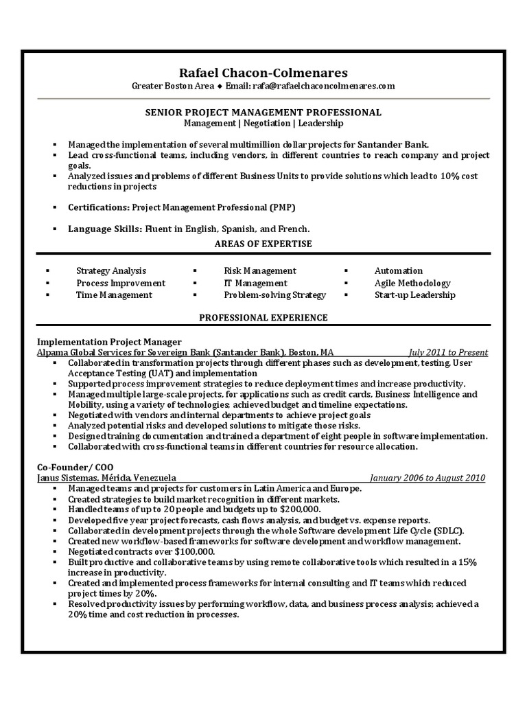 Senior Project Manager Profile | PDF | Business Process | Information ...