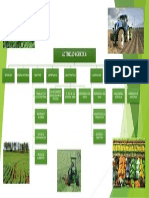 Diapositiva Actividad Agricola