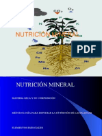 NUTRICIÓN MINERAL