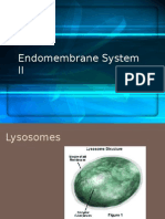 Lysosomes and Peroxisomes