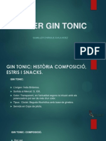 PRESENTACIÓ GIN TONIC