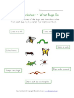  Bugs Worksheet